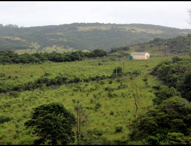 168HA FARM FOR SALE IN EAST LONDON RURAL